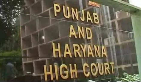 Court to pronounce order on Punjab drug racket on Nov 18Court to pronounce order on Punjab drug racket on Nov 18